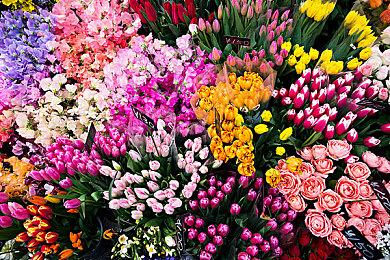 《宝可梦TCG手游》回应交易功能玩家不满：会改进体验