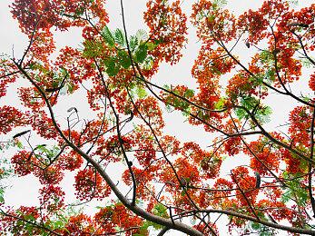 《星之海》IGN 8分：值得一玩的旅行